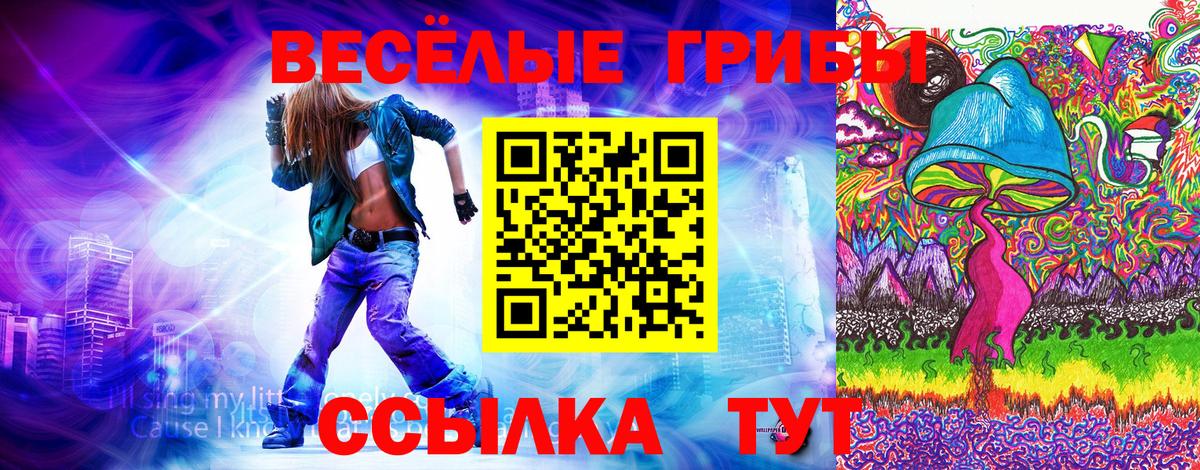 Галлюциногенные грибы GOLDEN TEACHER  Вход с VPN  Уссурийск 
